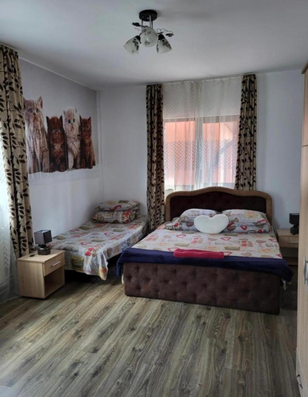 Apartmán Casa Raraului Câmpulung Moldovenesc Exteriér fotografie