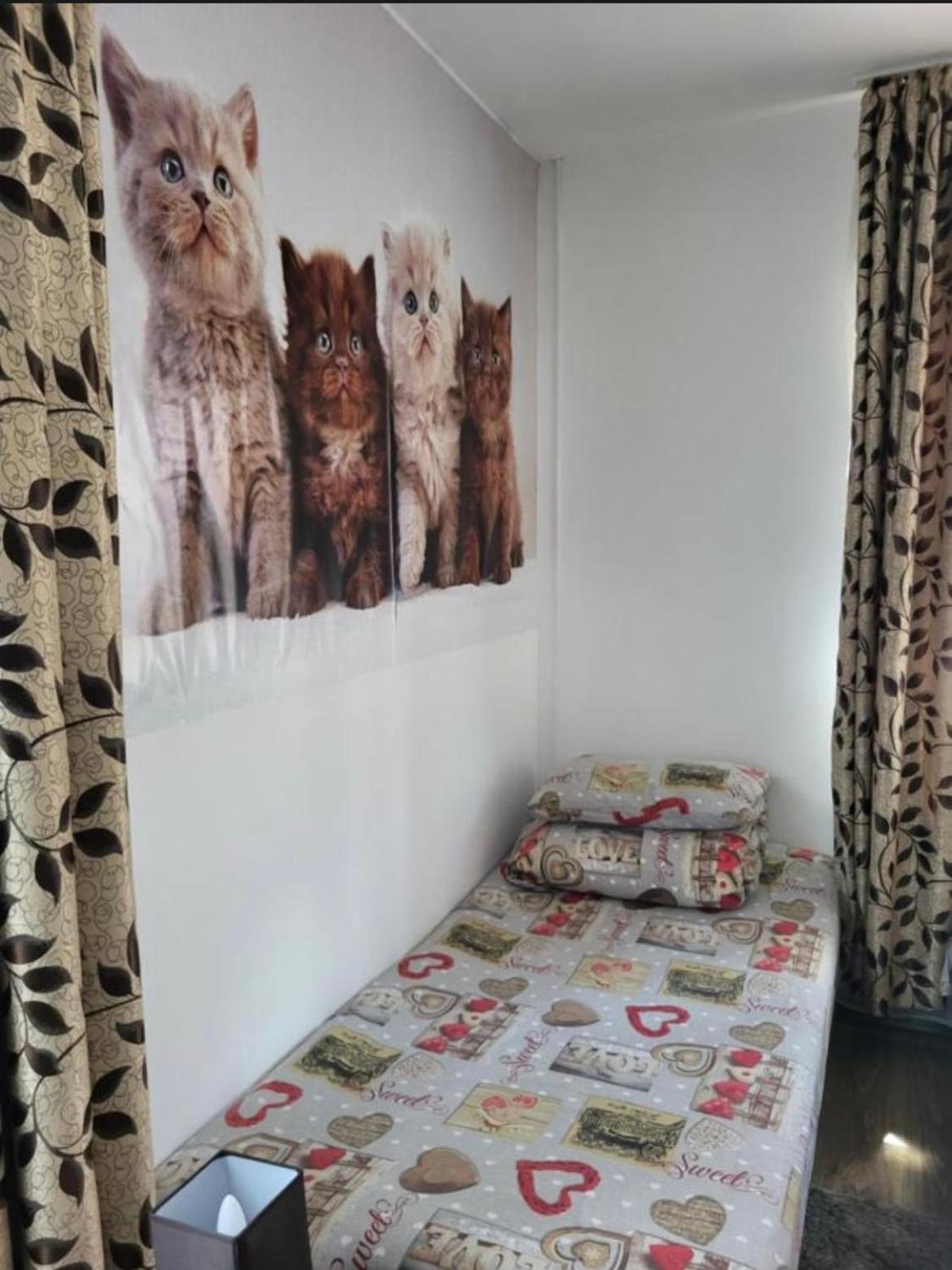 Apartmán Casa Raraului Câmpulung Moldovenesc Exteriér fotografie